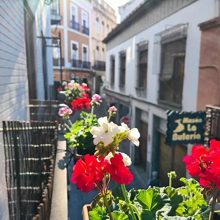 Balcon Del Templo *